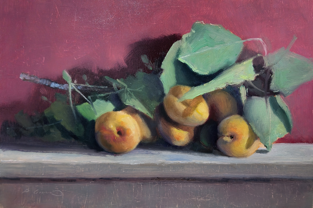 Peinture : Abricots Peinture : Abricots