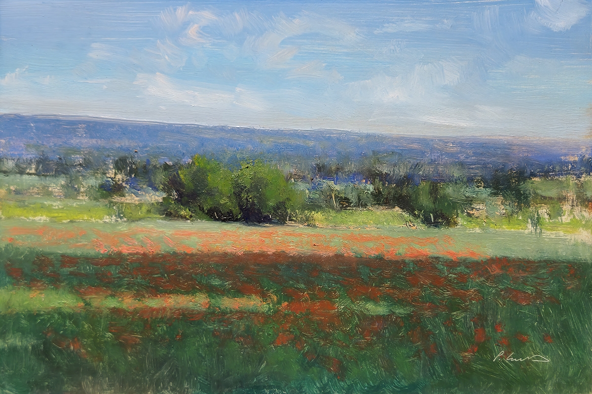 Peinture : Champs de Coquelicot Dans le Luberon