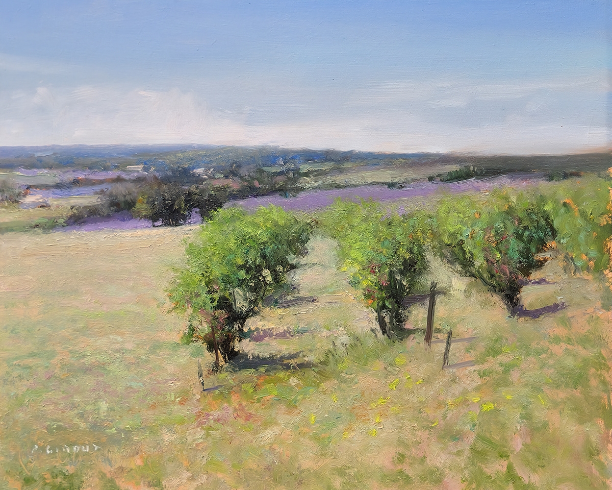 Peinture : Vignes et Lavandes 