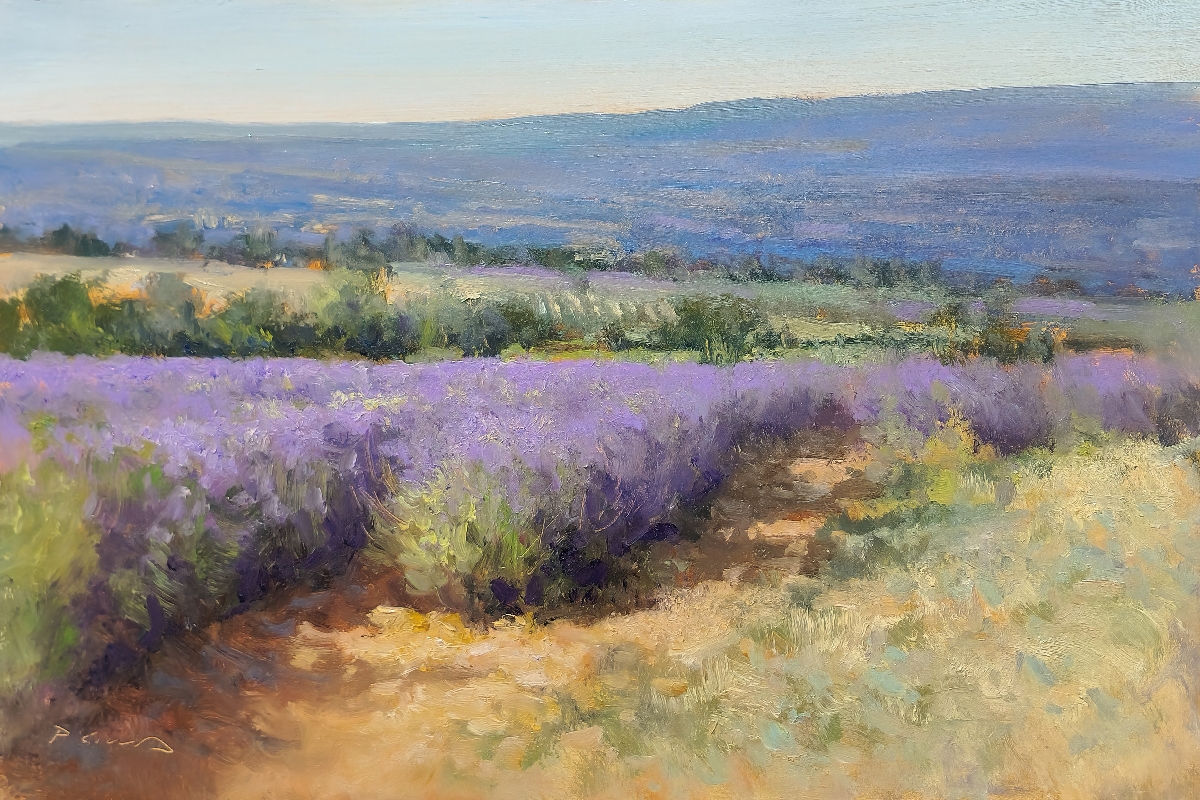 Peinture : Lavande aux Roméyères 
