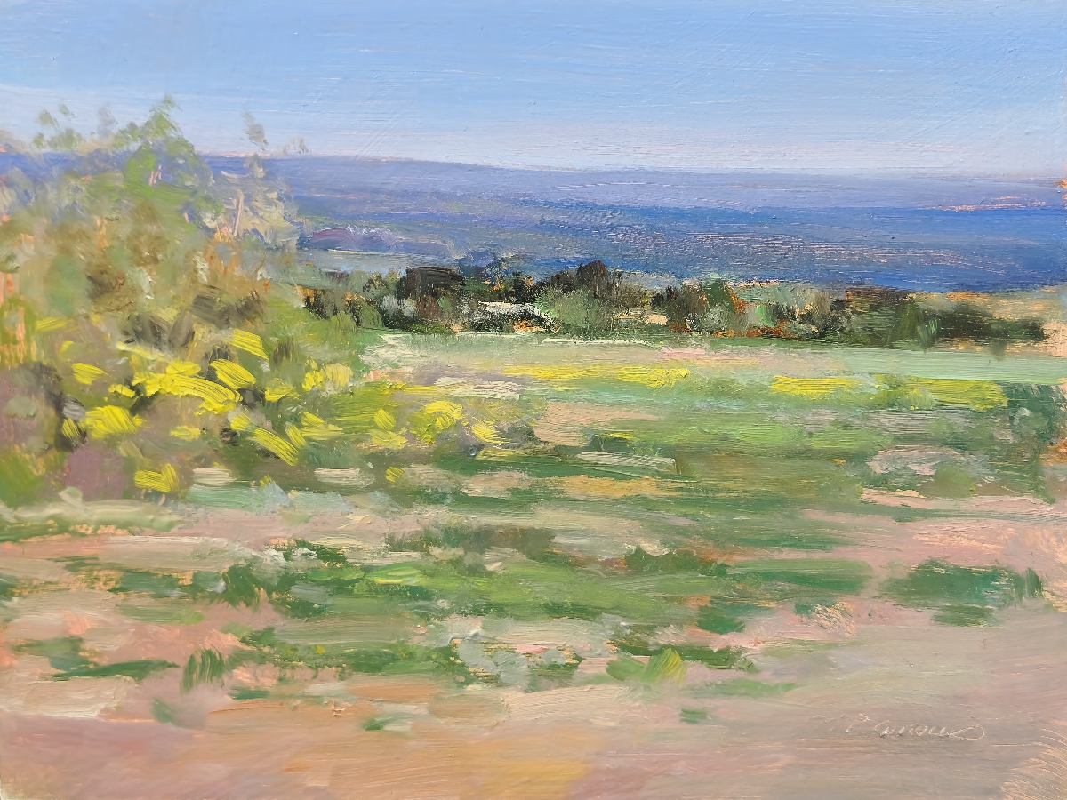 Peinture : Champs des Bollènes 